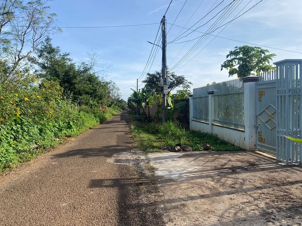 Đất ở An Phú Pleiku 560m² giá 800 triệu - Cơ hội đầu tư tuyệt vời!