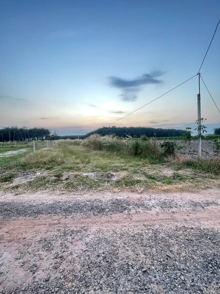 Đất nền Phường Ninh Thạnh, Tây Ninh 4600m² giá 2 tỷ - View Núi Bà tuyệt đẹp!