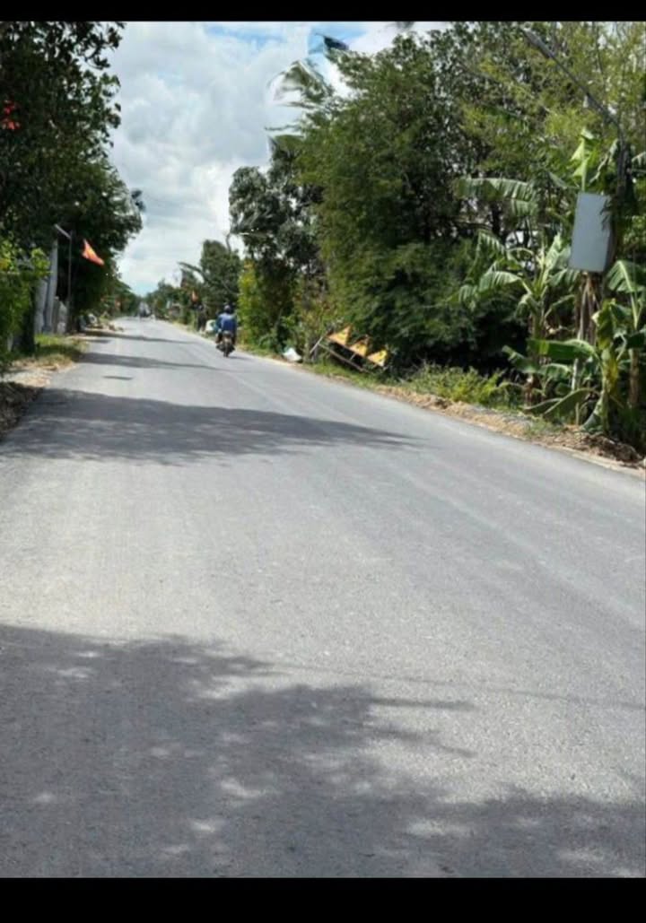 Đất nền mặt tiền đường nhựa Tân Hộ Cơ 16800m² giá 9.912 tỷ - Cơ hội đầu tư tuyệt vời!