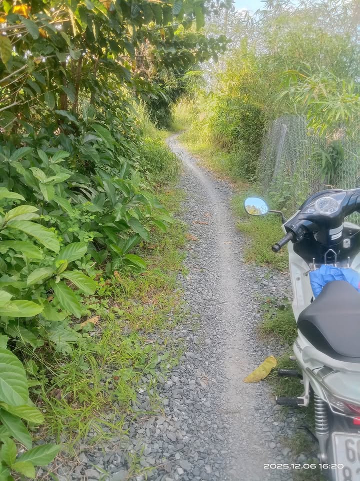 Đất vườn xã Long Hậu, huyện Lai Vung, 6000m² giá 1.1 tỷ - Đầu tư sinh lời!