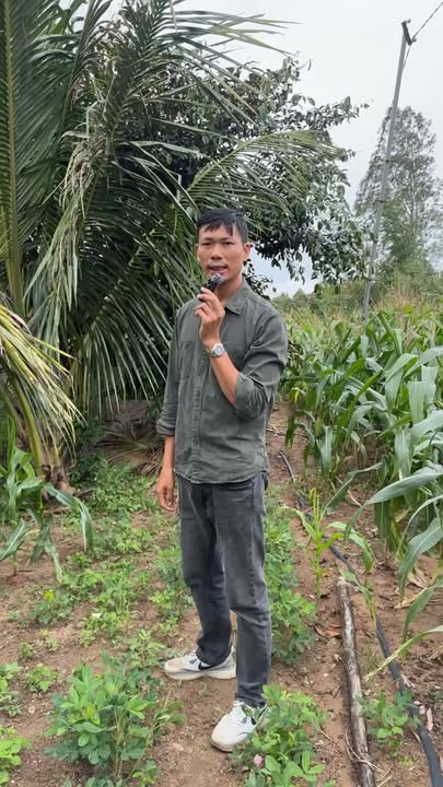 Đất thổ cư Cư Ni 2700m² giá 1.7 tỷ - Mặt tiền Bêtông 21m, đầy đủ tiện nghi!