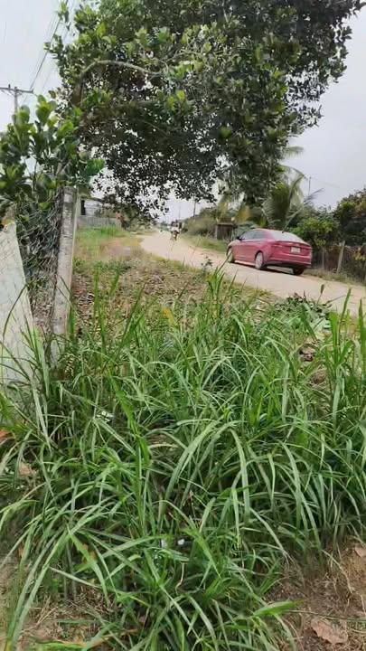 Đất thổ cư 782m² xã Ea Păl, huyện Ea Kar - Vị trí thuận lợi, giá thỏa thuận!