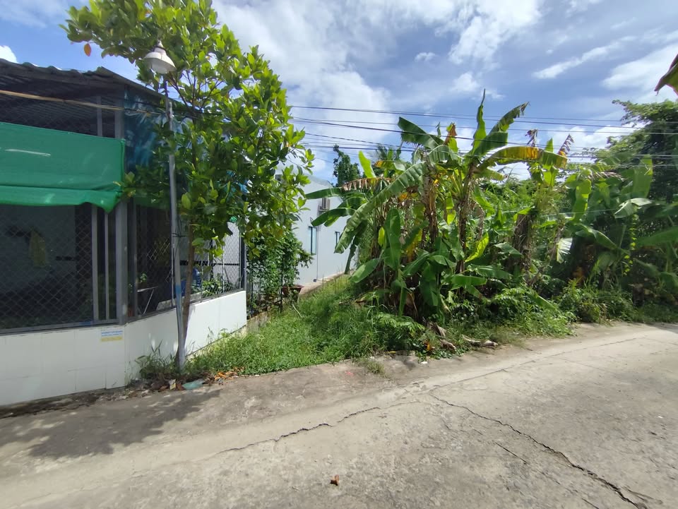 Đất nền Trương Vĩnh Nguyên Cái Răng 88m² giá 850 triệu - Đầu tư sinh lời ngay!