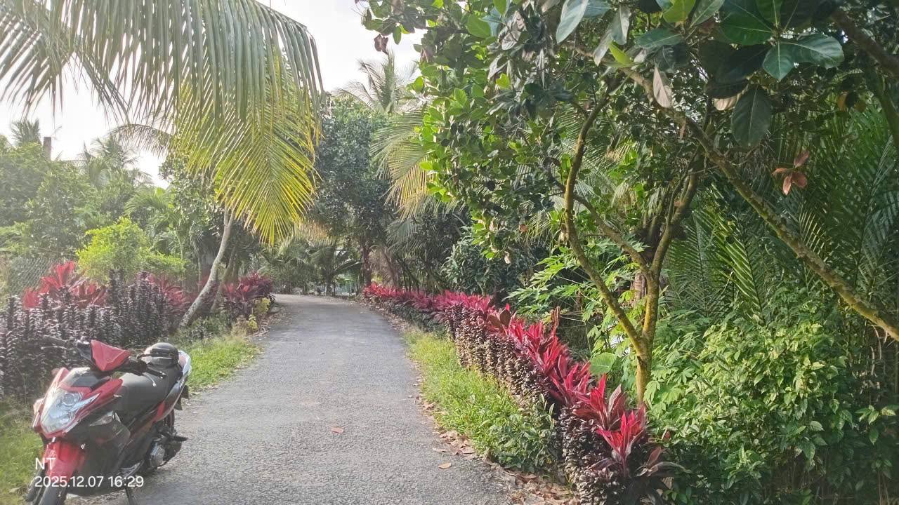 Đất nền Tân Long Hội 125m² giá 260 triệu - Sổ đỏ chính chủ, pháp lý rõ ràng!