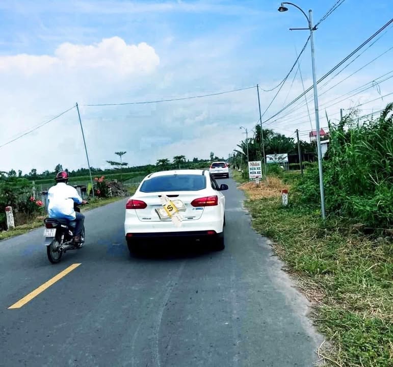 Đất nền mặt tiền xã Tân Lược, huyện Bình Tân, 280m² - Đầu tư sinh lời lý tưởng!