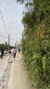 Đất nền Hồng Thái, An Dương 60m² giá 1.85 tỷ - Vị trí đẹp, tiện ích đầy đủ!