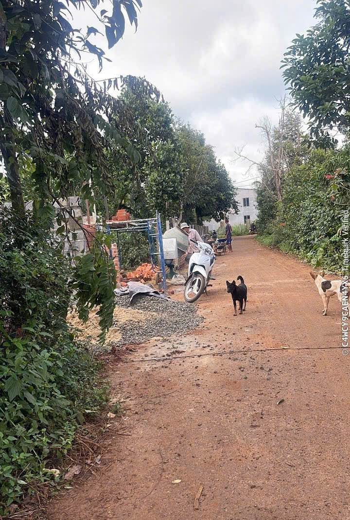 Đất Eatu Phường Tân An 215m² giá 1.35 tỷ - Vị trí đẹp gần vành đai