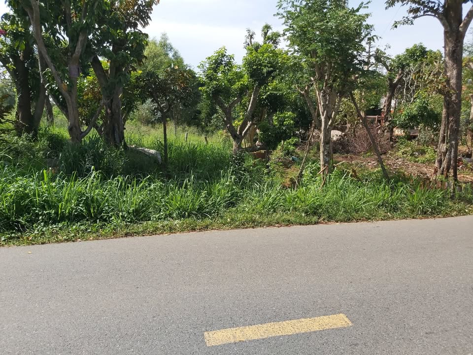 Đất Hắc Dịch Phú Mỹ 163m² - Giá Siêu Rẻ, Sổ Hồng Chính Chủ!