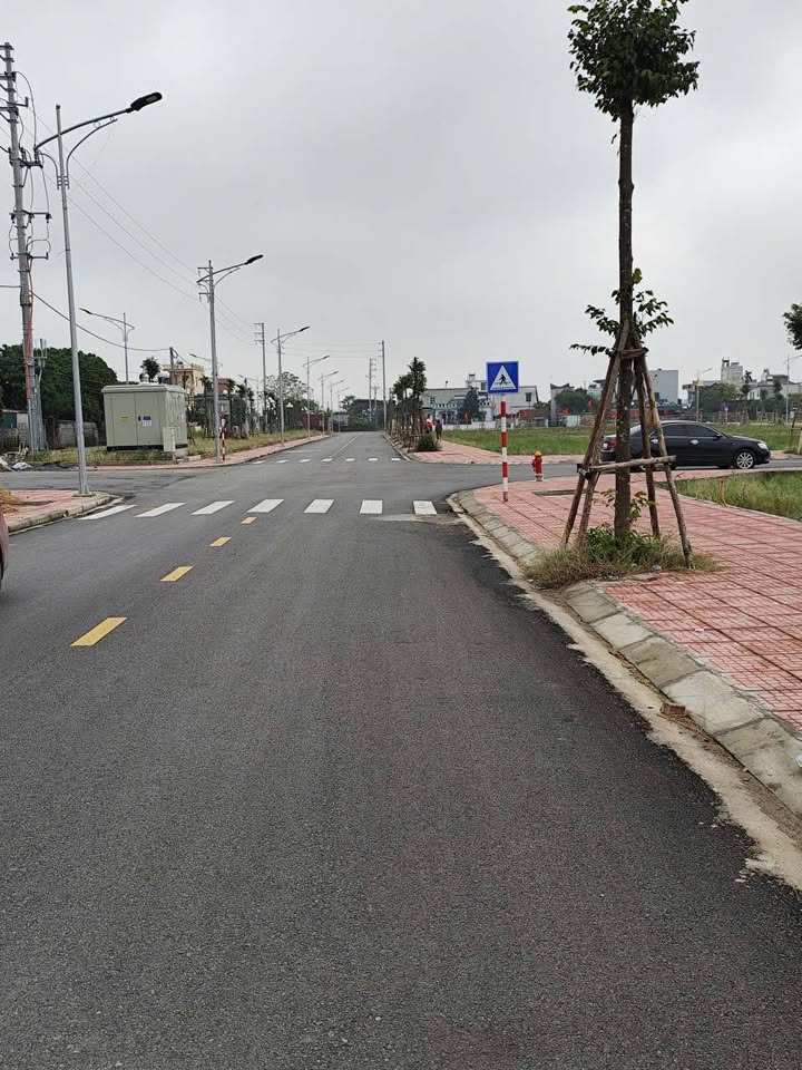 Đất đấu giá mới Vũ Phúc Thái Bình 72m² giá 2 tỷ - Tiềm năng đầu tư lớn!