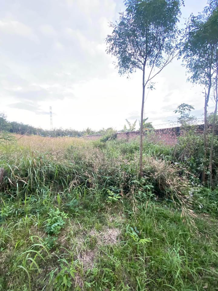 Đất nền Trần Hưng Đạo, Kon Tum 168m² giá chỉ 90 triệu - Cơ hội đầu tư hấp dẫn!