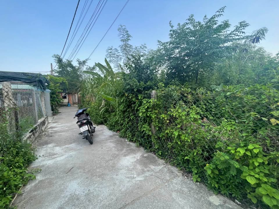 Đất nền khu phố Mỹ Lệ Tây 262m² giá 1.25 tỷ - Cơ hội đầu tư tuyệt vời!