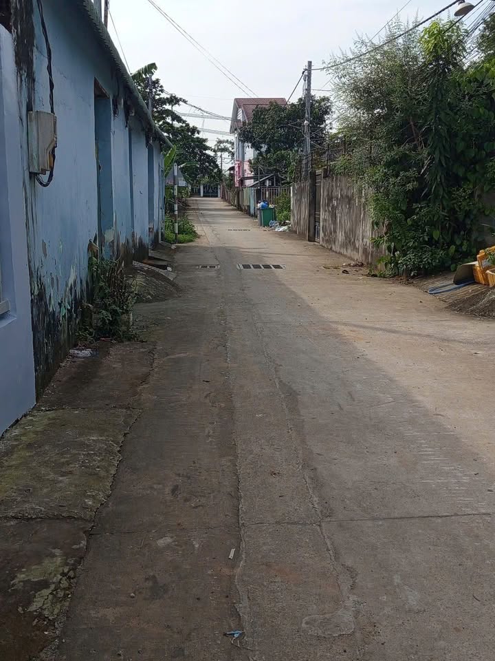 Đất nền Phú Đông Nhơn Trạch 100m² giá 1.8 tỷ - Sổ hồng chính chủ, tiện ích đầy đủ!