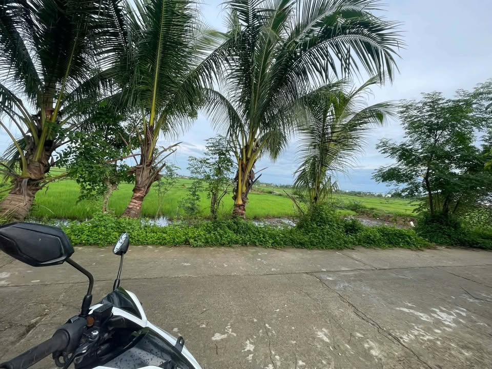 Đất Duy Vinh 220m² giá tốt - View cánh đồng lúa thoáng mát!