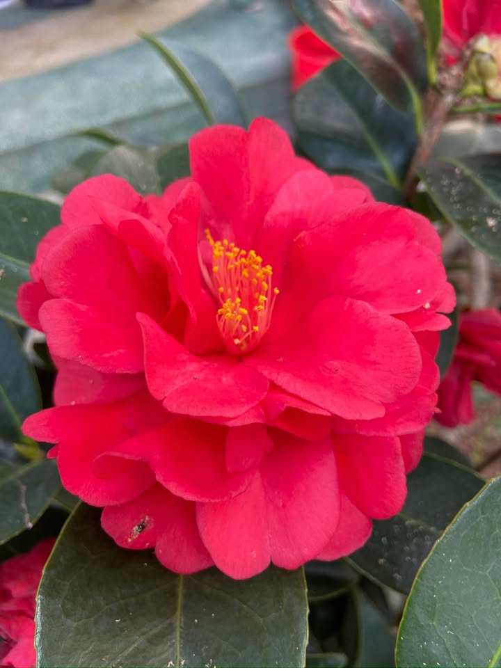 Đất nền Tân Hòa Hòa Bình 325m² giá chỉ 500 triệu - Cơ hội đầu tư hấp dẫn!