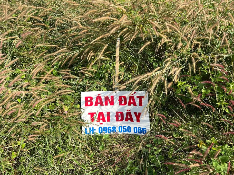 Đất nền mặt tiền đường Lê Lợi, TP Phú Mỹ 110m² - Hướng Nam, cơ hội đầu tư hấp dẫn!