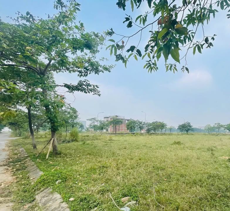 Đất nền lô góc tại Yên Phong, Bắc Ninh 245m² - Vị trí đắc địa gần cảng cạn Viglacera!