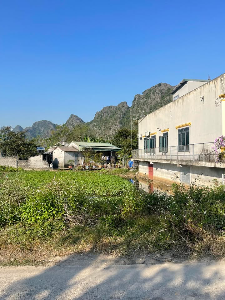 Đất thổ cư Thôn 4, Gia Lâm, Ninh Bình 120m² giá 800 triệu - Cơ hội đầu tư hấp dẫn!