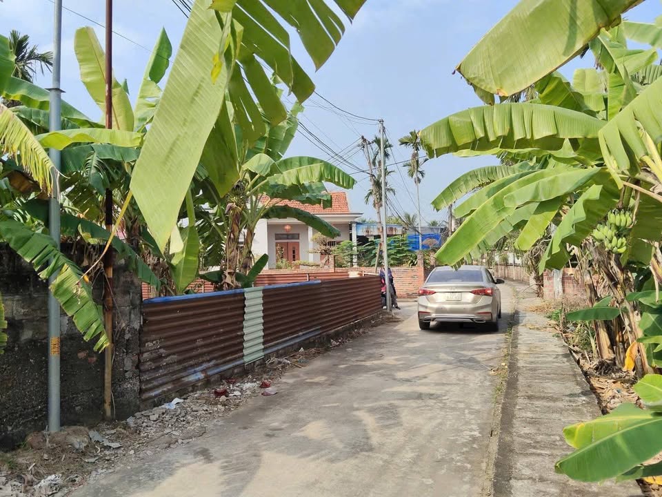 Đất nền đẹp Lưu Kiếm, Thủy Nguyên, Hải Phòng 127,9m² giá chỉ 1,8 tỷ - Cơ hội đầu tư tuyệt vời!