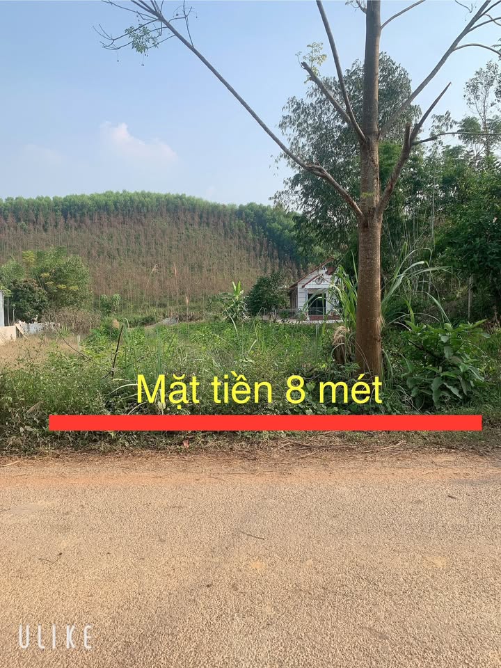 Đất nền Xuân Lương, Yên Thế 400m² chỉ 500 triệu - Cơ hội đầu tư hấp dẫn!