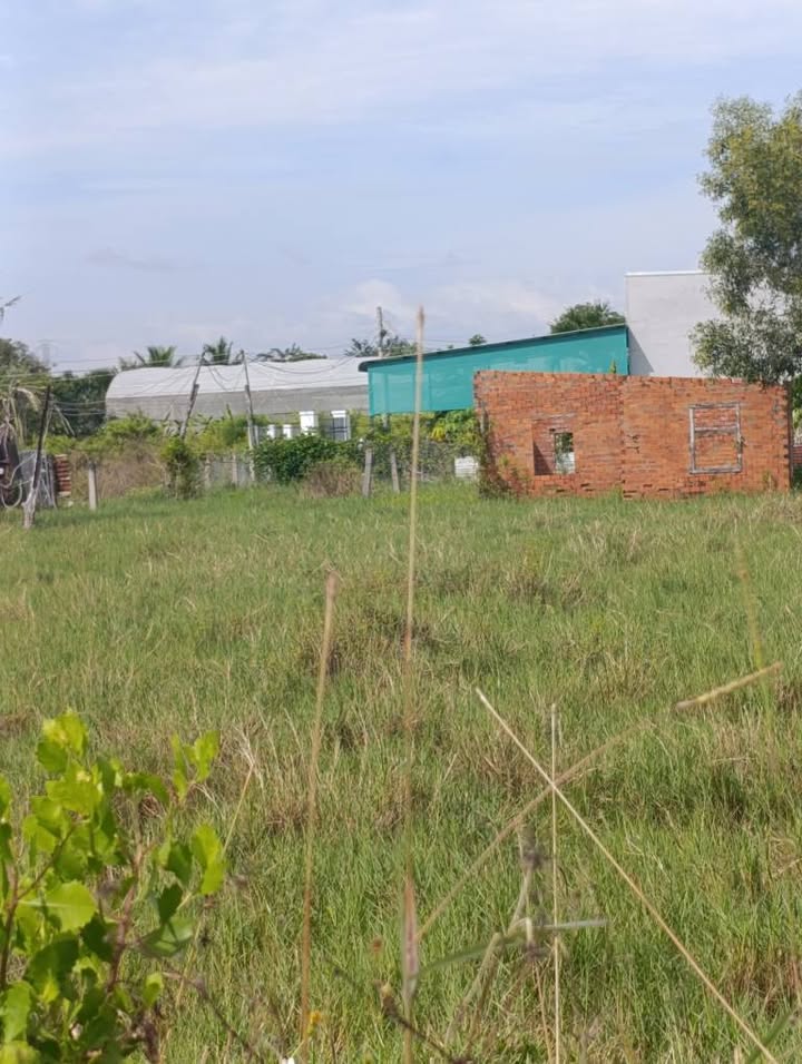 Đất nền phường Bình Thuận, 100m² giá chỉ 250 triệu - Sổ đỏ chính chủ!