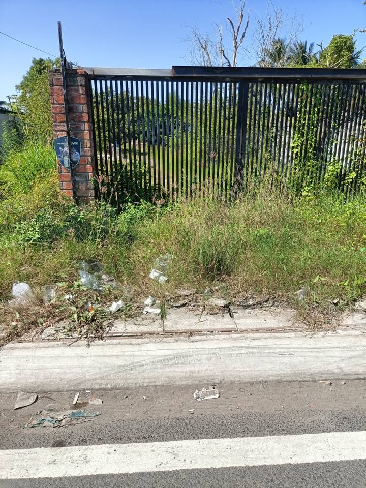 Bán đất mặt tiền đường 870, xã Thạnh Phú, 1050m² giá 11 tỷ - Đầu tư sinh lời ngay!