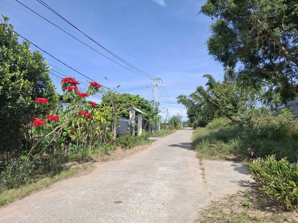 Đất thổ cư tại thôn Konrobang 1, xã Vinh Quang, Kon Tum 192m² - Giá chỉ 500 triệu!