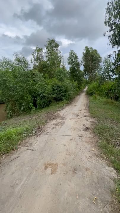 Đất nông nghiệp Bình Giang 38.000m² giá 4.75 tỷ - Cơ hội đầu tư sinh lời!