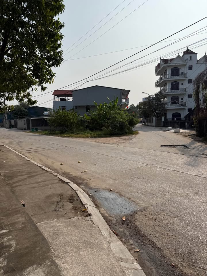 Đất nền Móng Cái 115m² giá 3 tỷ - Đầu tư lý tưởng tại vị trí đắc địa!