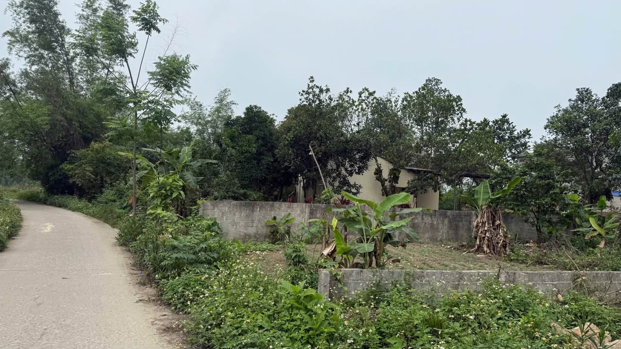 Đất nền Phố Cò Sông Công 272m² giá 1 tỷ - Đầu tư sinh lời ngay!