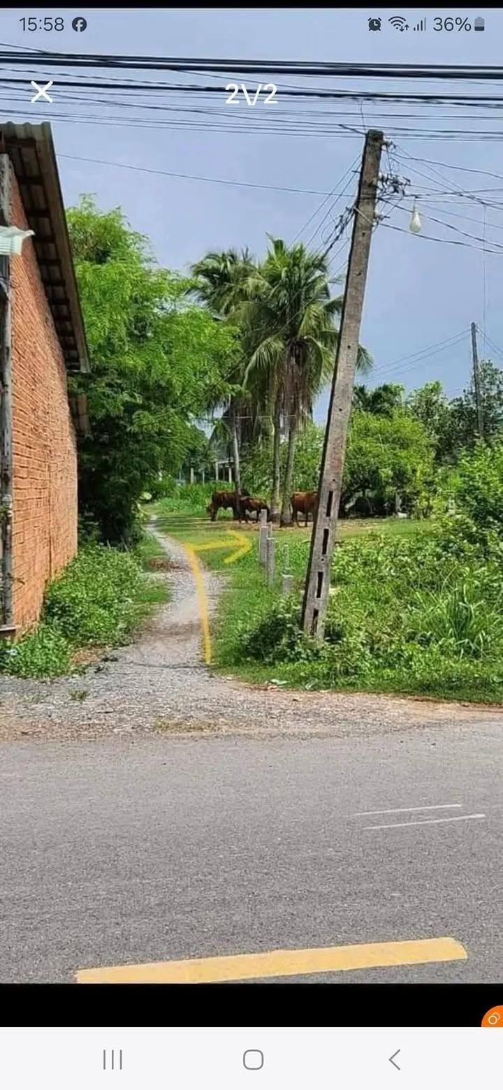 Đất nền Phước Vân, Cần Đước 120m² chỉ 900 triệu - Cơ hội đầu tư tuyệt vời!