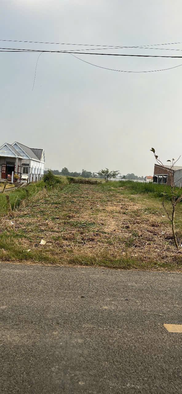 Đất thổ cư xã Tân Trụ 250m² giá 1.5 tỷ - Mặt tiền nhựa 9m, vị trí tiềm năng!