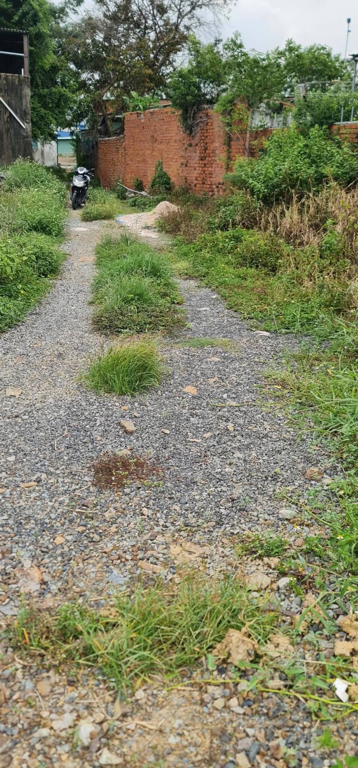 Đất nền Tiến Lợi Phan Thiết 250m² giá 298 triệu - Đầu tư sinh lời ngay!