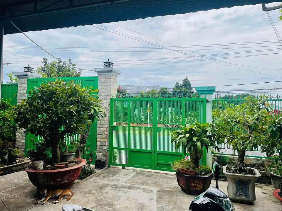 Bán nhà cấp 4 mặt tiền Hải Thượng Lãn Ông, Bình Thuận 1200m² - Vị trí đẹp, giá rẻ!