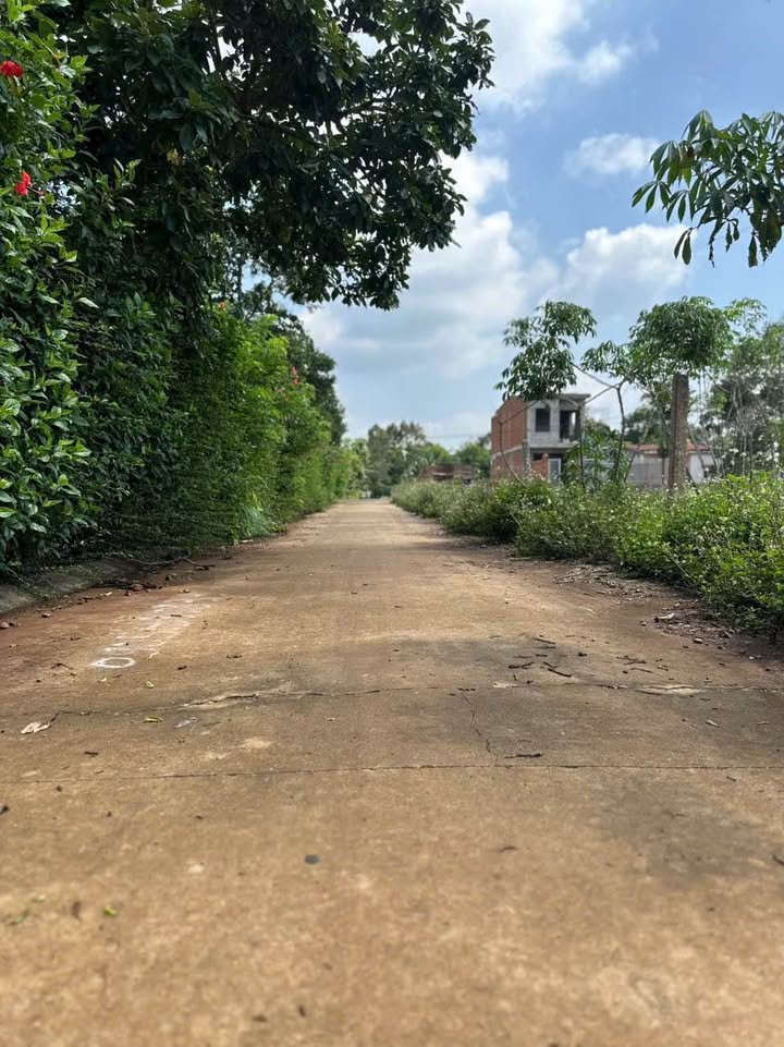 Đất nền Tân An, Buôn Ma Thuột 260m² giá 999 triệu - Đường ô bàn cờ thông thoáng!