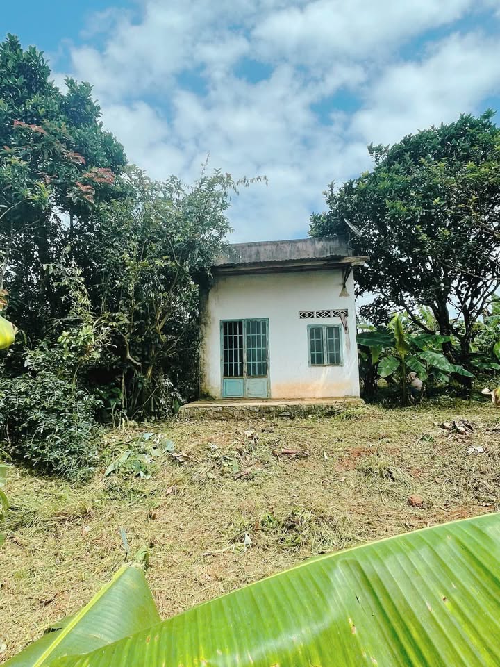 Đất thổ cư Lộc Quảng Bảo Lâm 13680m² - Giá thỏa thuận hấp dẫn!