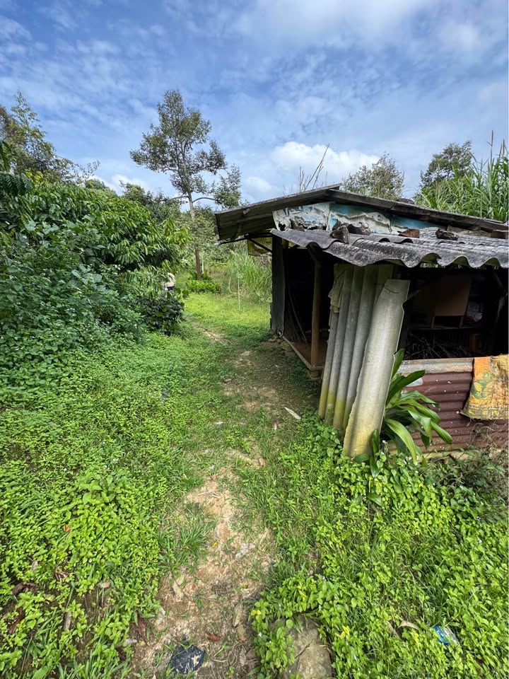 Đất nền thổ cư 14400m² tại thôn 1, xã Tân Lạc - Giá chỉ 1.4 tỷ có thương lượng!