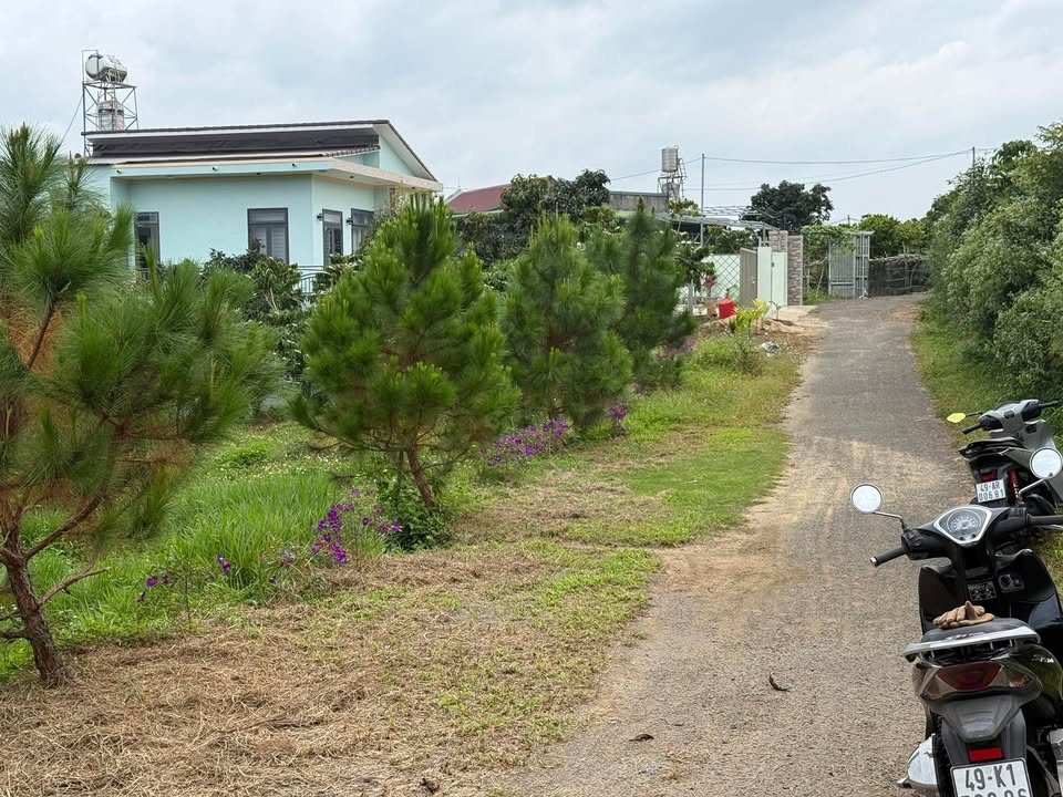 Đất thổ cư Bảo Lâm 550m² giá 1 tỷ - Đường ô tô tận nơi!