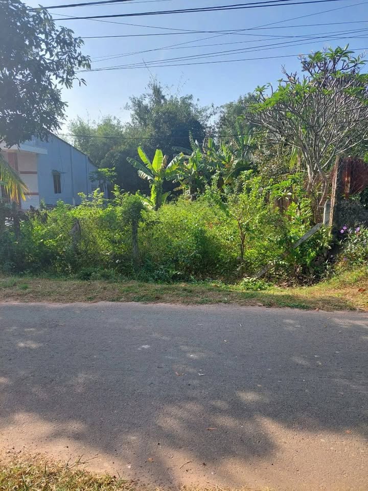 Đất thổ cư 307m² tại xã Thái Mỹ, Củ Chi - Giá chỉ 2.5 tỷ, thương lượng ngay!