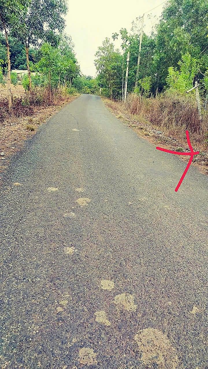 Đất nền Lộc Thiện 150m² giá chỉ 2xx triệu - Cần bán gấp!