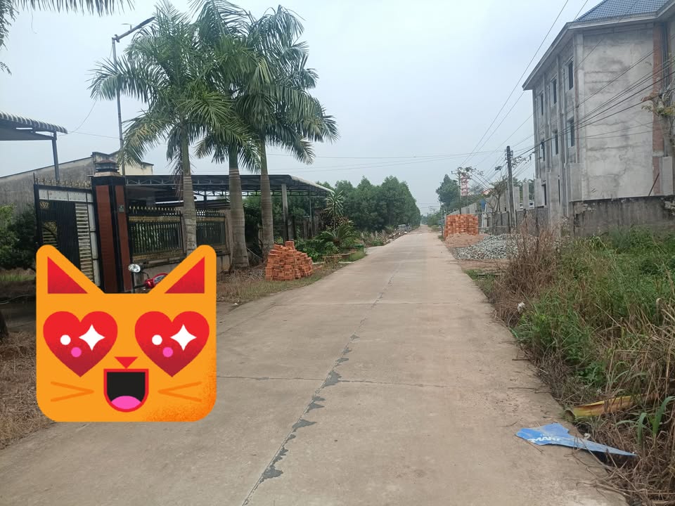 Đất Trà Tân Bắc Trà My 1,1ha giá 2,775 tỷ - Cơ hội đầu tư hiếm có!