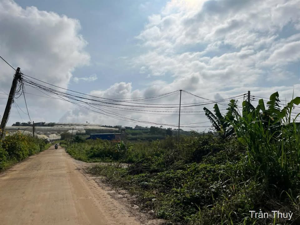 Đất nền Quảng Lập 1020m² giá 1.3 tỷ - Cơ hội đầu tư không thể bỏ lỡ!