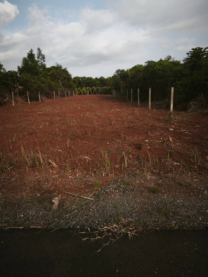 Đất nền Hòa Long, Bà Rịa 764m² giá 4 tỷ - Mặt tiền đường nhựa, gần chợ!