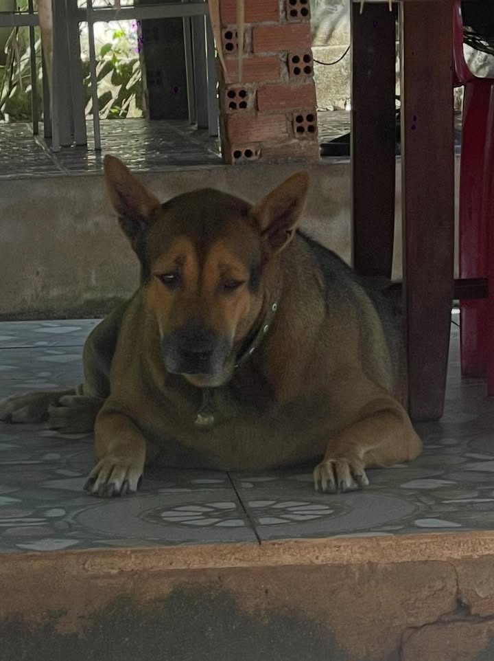 Đất nền Nghĩa Thành Châu Đức 190m² giá 1.15 tỷ - Sổ hồng chính chủ