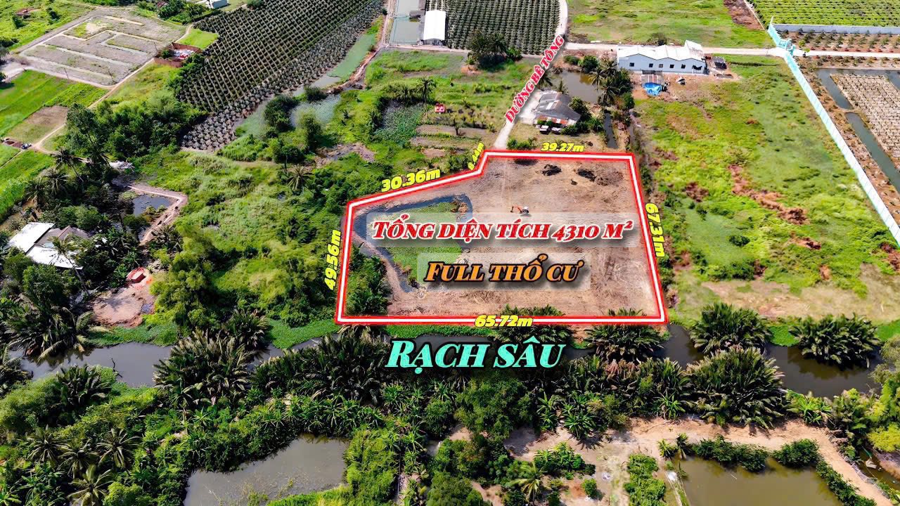 Đất Farm Phú Ngãi Trị, Châu Thành, Long An 4310m² giá 9.5 tỷ - Vị trí đẹp giáp sông mát rượi!