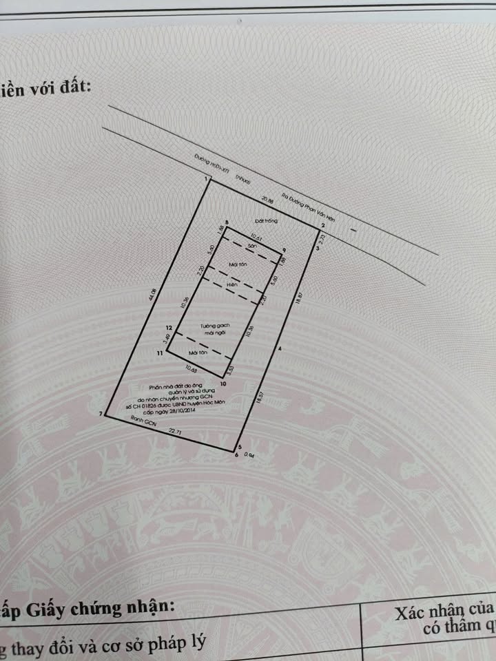 Biệt thự Bà Điểm Hóc Môn 1000m² giá chỉ 1x tỷ - Đầu tư sinh lời ngay!