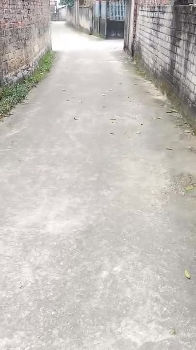 Đất thổ cư Hiệp Hòa Bắc Giang 134m² giá chỉ 700 triệu - Đầu tư sinh lời ngay!