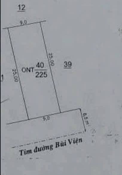 Nhà mái thái đẹp đường Bùi Viện, 225m², giá thỏa thuận - Vị trí tiềm năng gần chợ mới