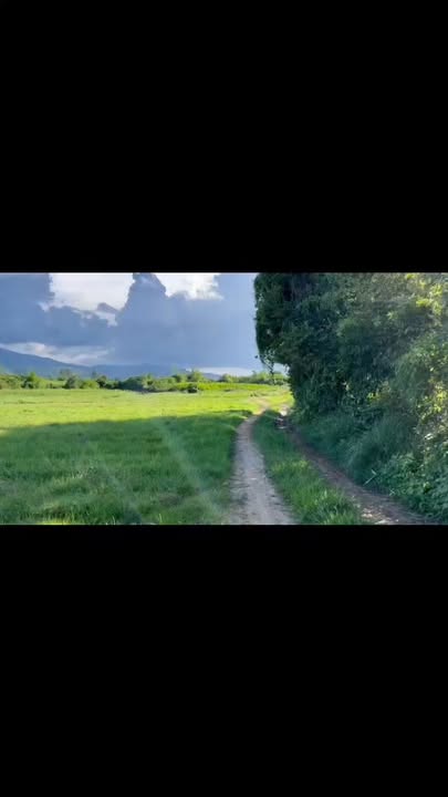 Đất nền 1ha tại Tân Mỹ, Ninh Xuân chỉ 850 triệu - Cơ hội đầu tư hấp dẫn!