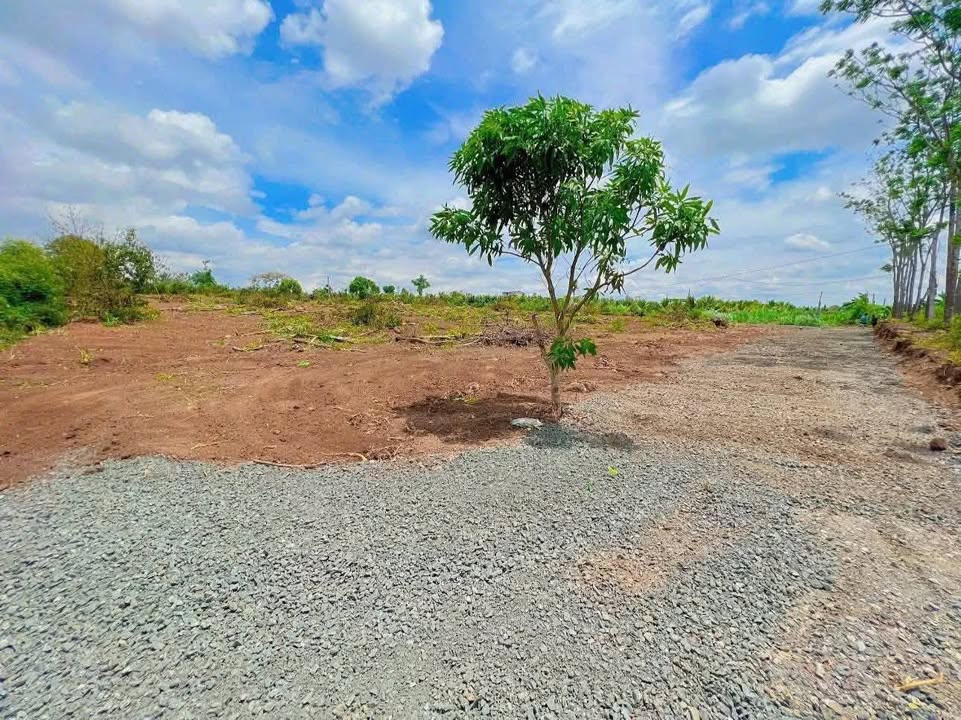 Đất thổ cư xã Ea Bar, huyện Buôn Đôn 8.600m² giá 3.9 tỷ - Cơ hội đầu tư tốt!