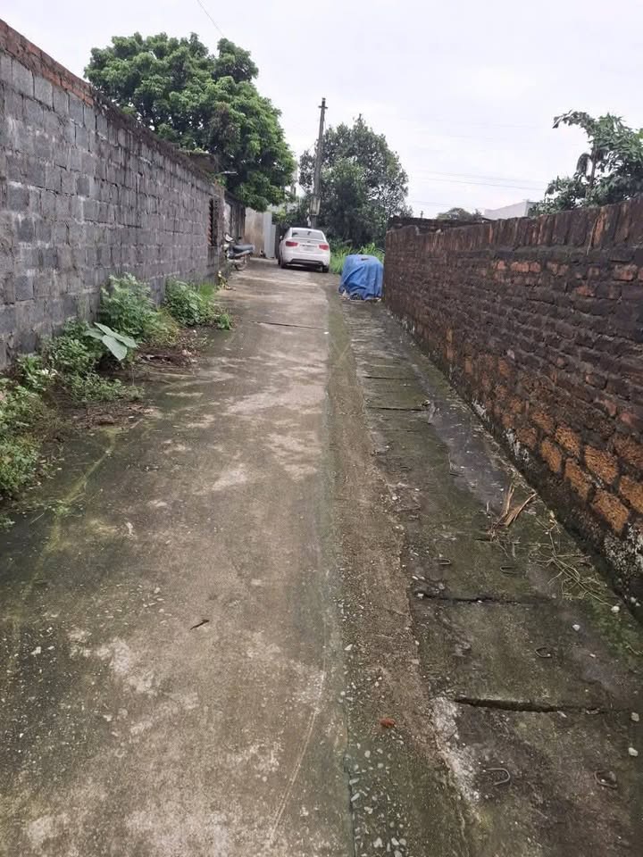 Đất nền Phú Cát - Quốc Oai 80m² giá 2.1 tỷ - Cơ hội đầu tư vàng!